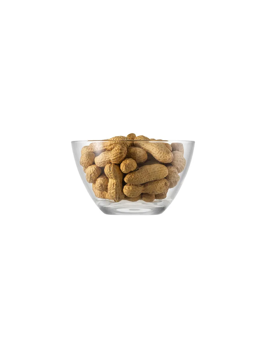 borgonovo-palladio-coppa-14-dessertschale-glas-70-cl-14-cm image 1